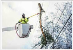 Emergency tree service, limb removal from power line